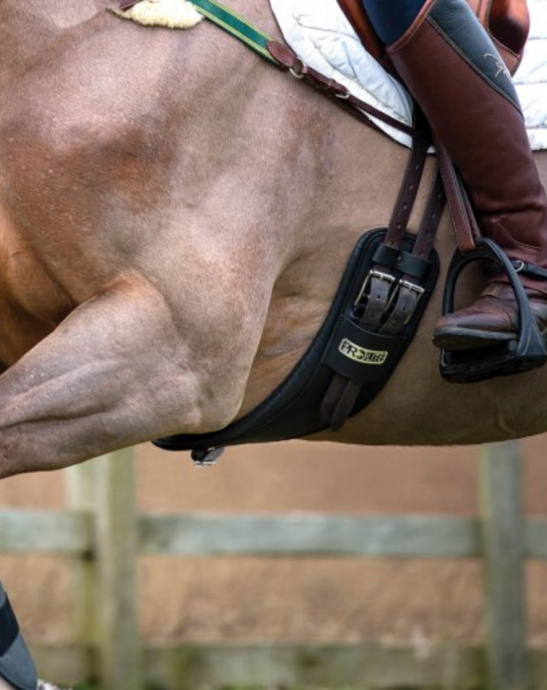 sottopancia anatomico prolite inglese ilaria saddle service