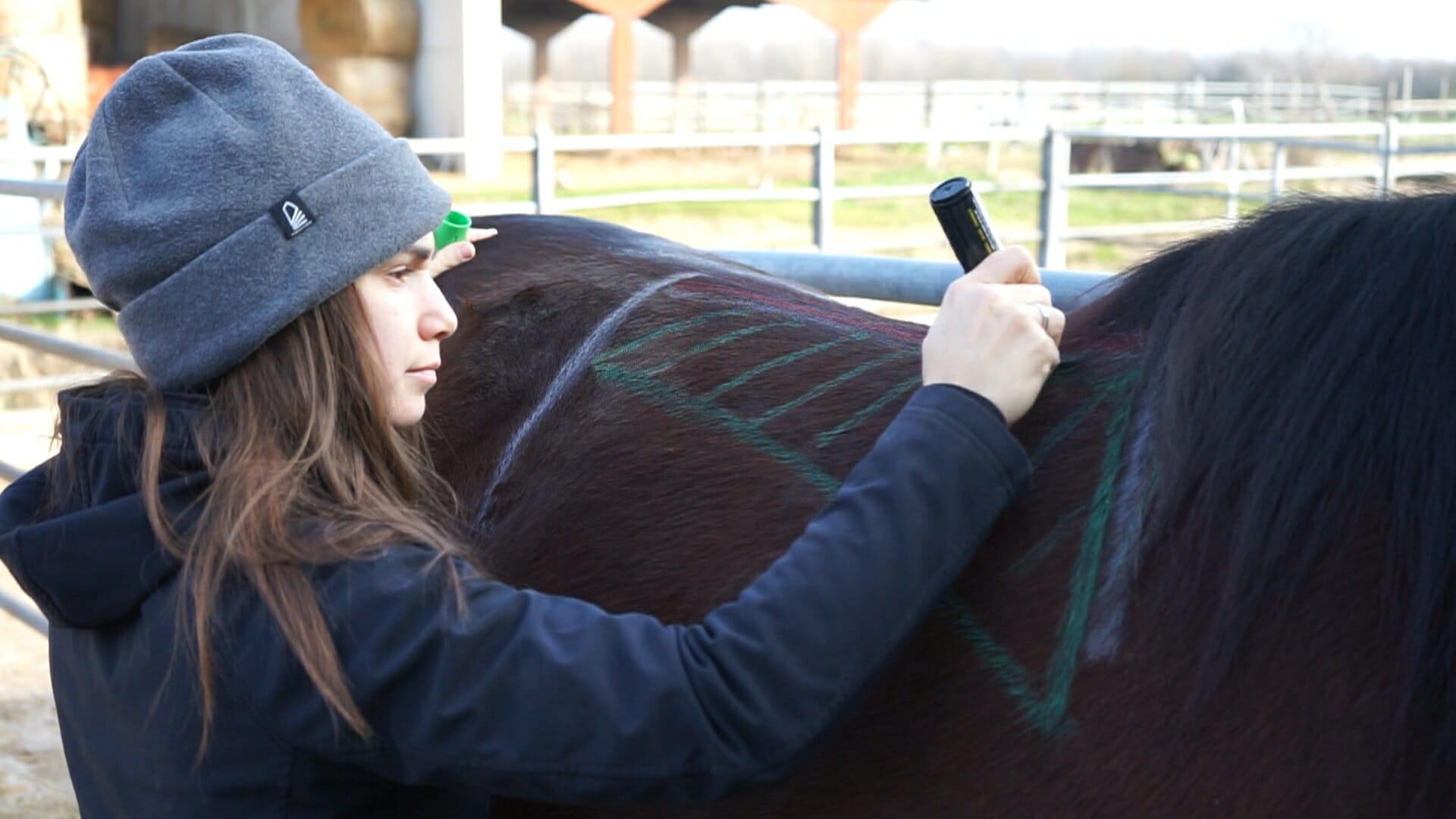 Ilaria saddle service - saddle fitting - selle su misura - consulenze