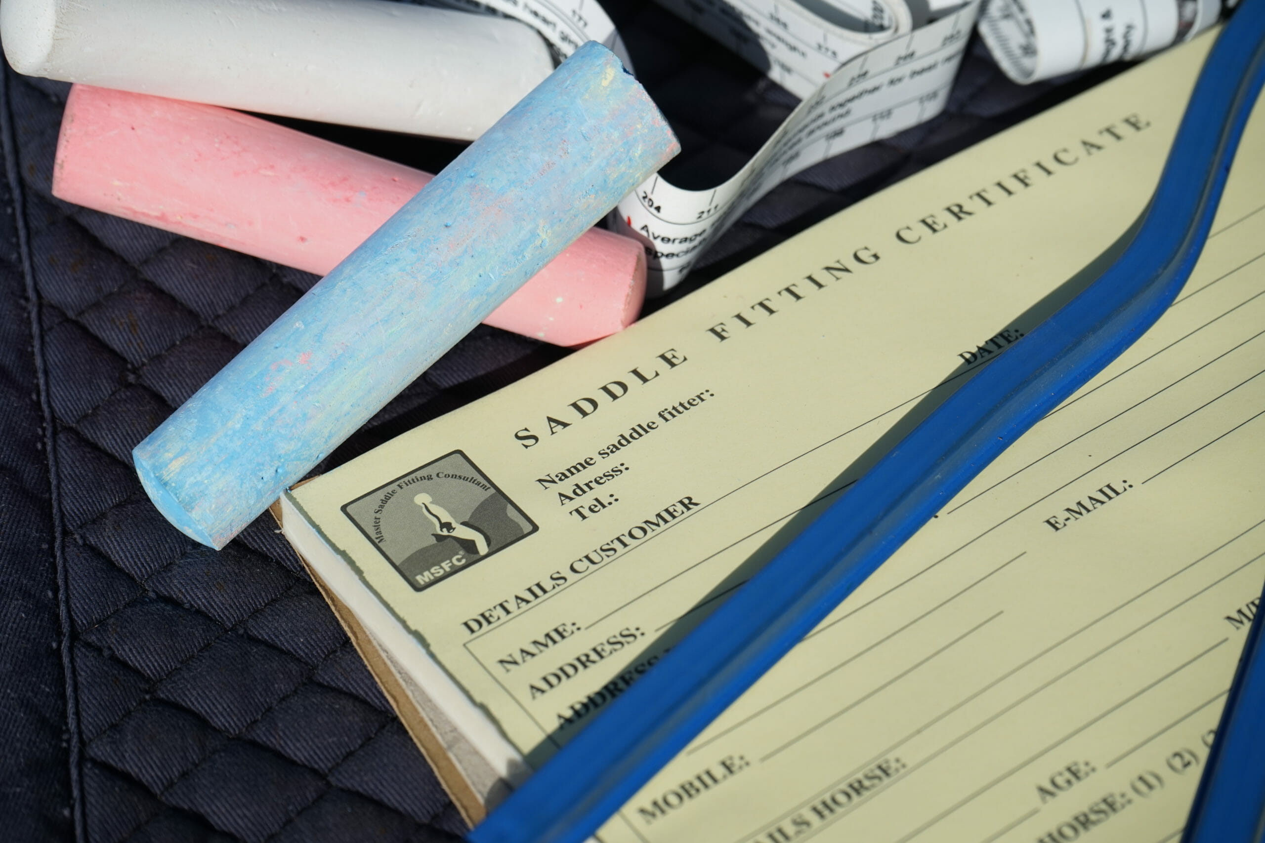 ilaria saddle service consulenze saddle fitting italia