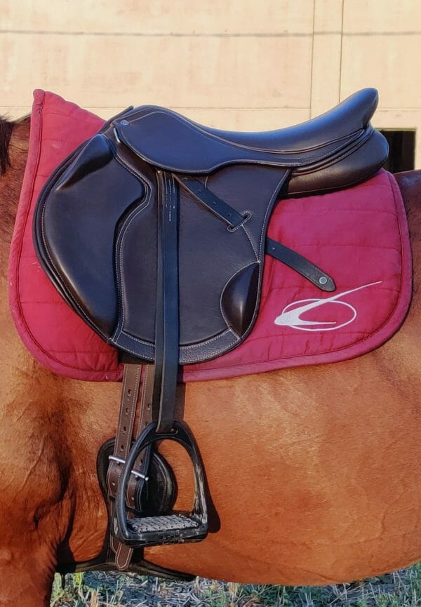 Ilaria saddle service - selle cavaletti collection