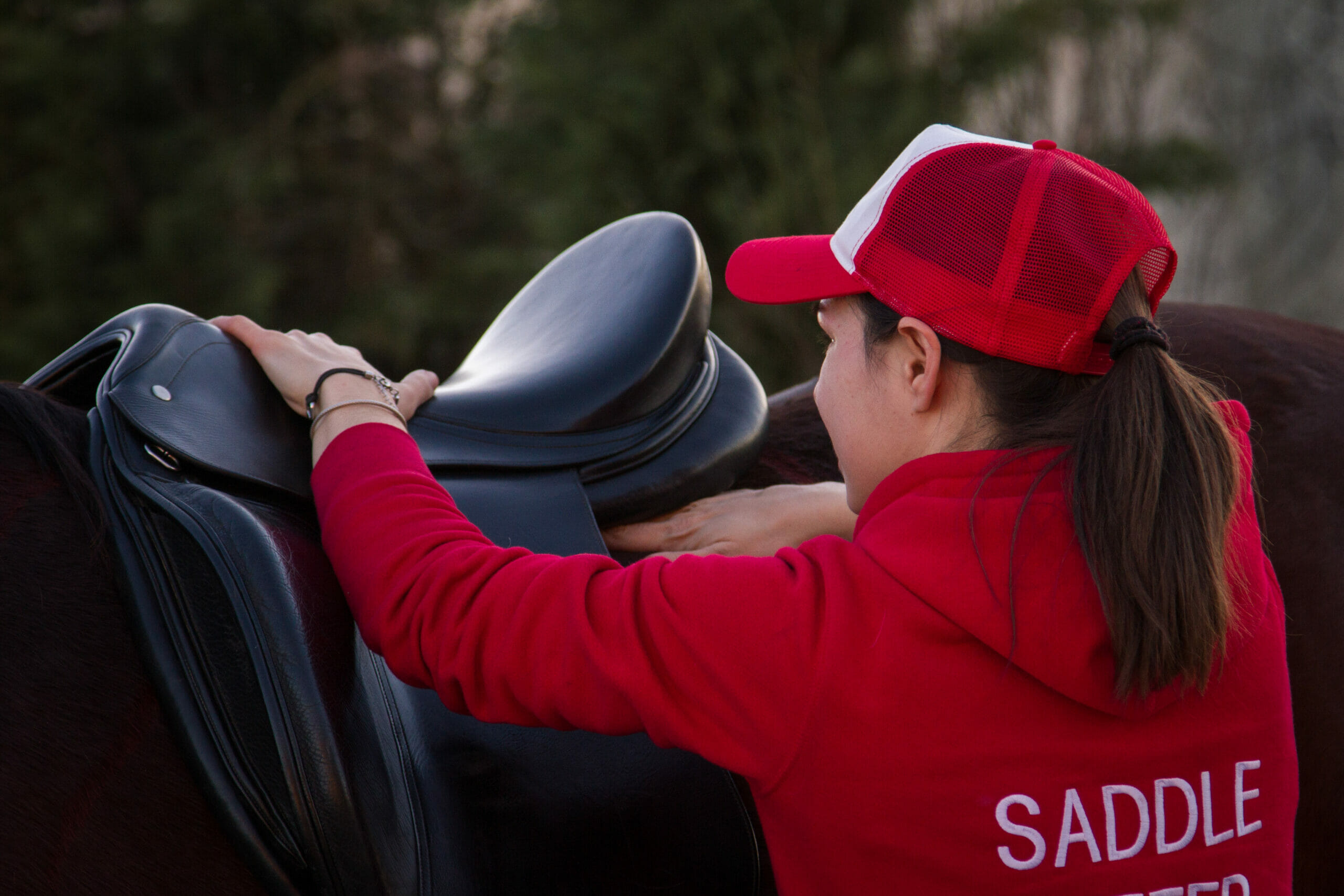 ilaria saddle service saddle fitting