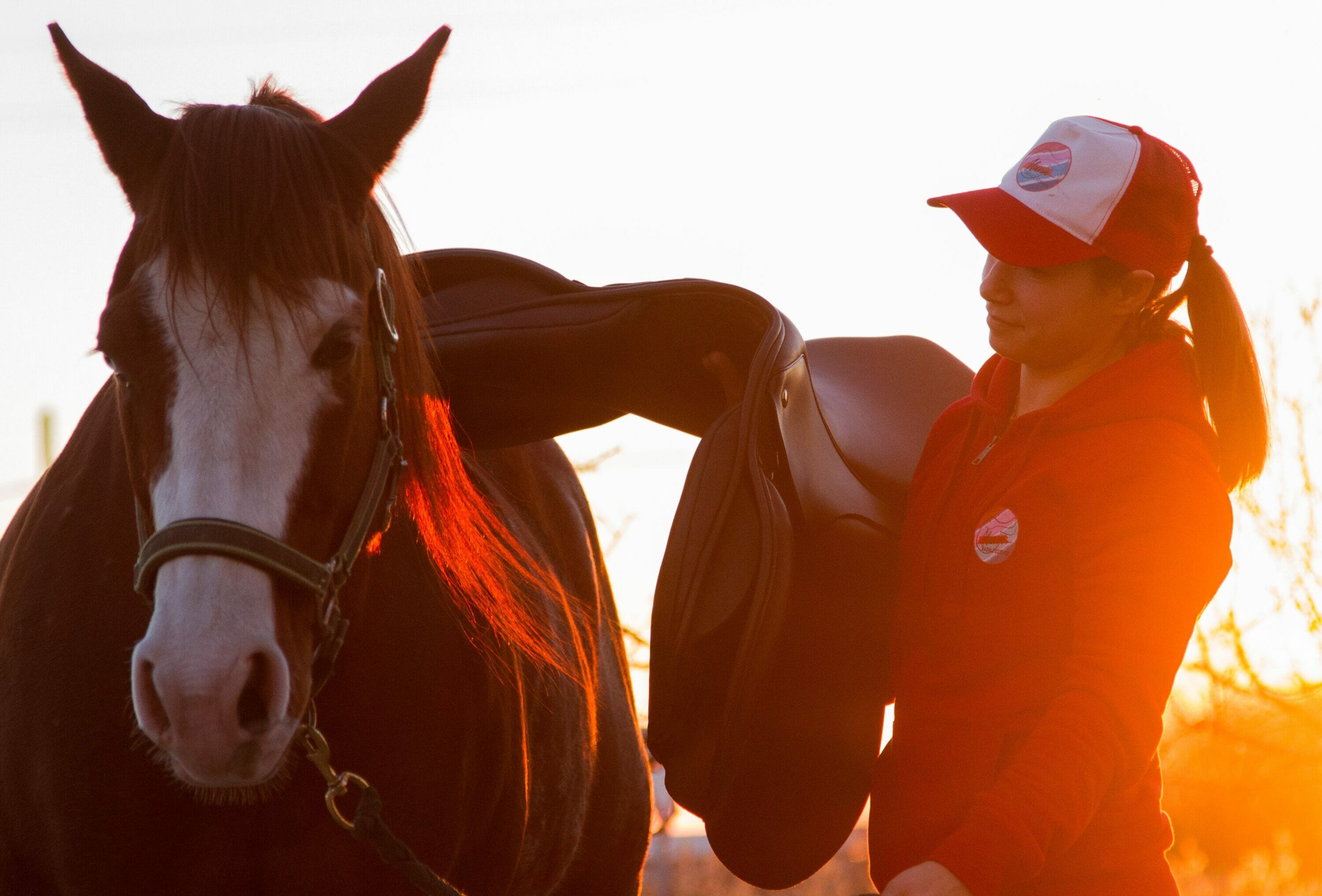 ilaria saddle service saddle fitting