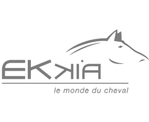ekkia-logo
