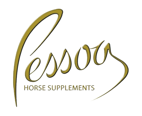 pessoa-logo