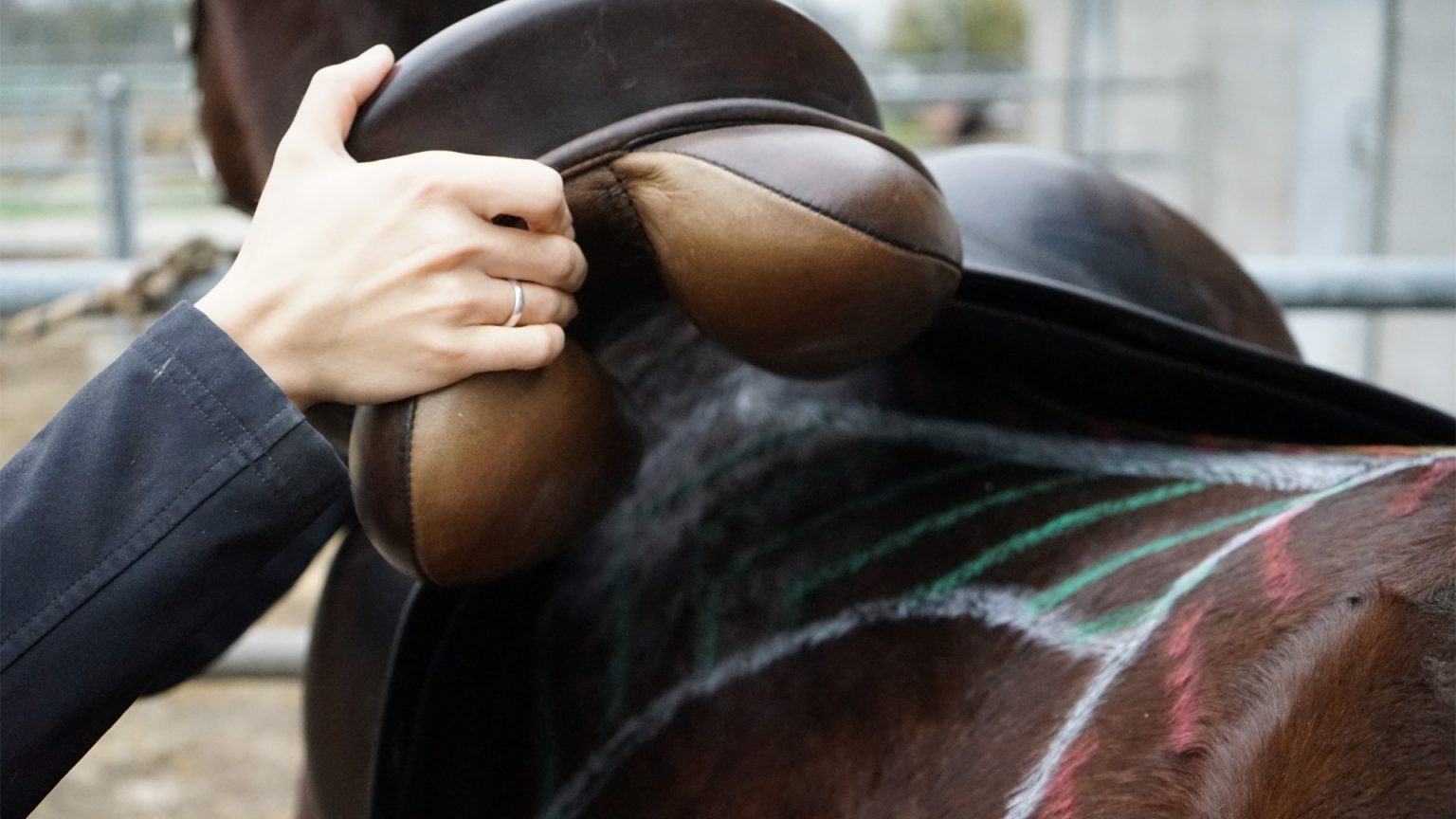 saddle fitting selle su misura
