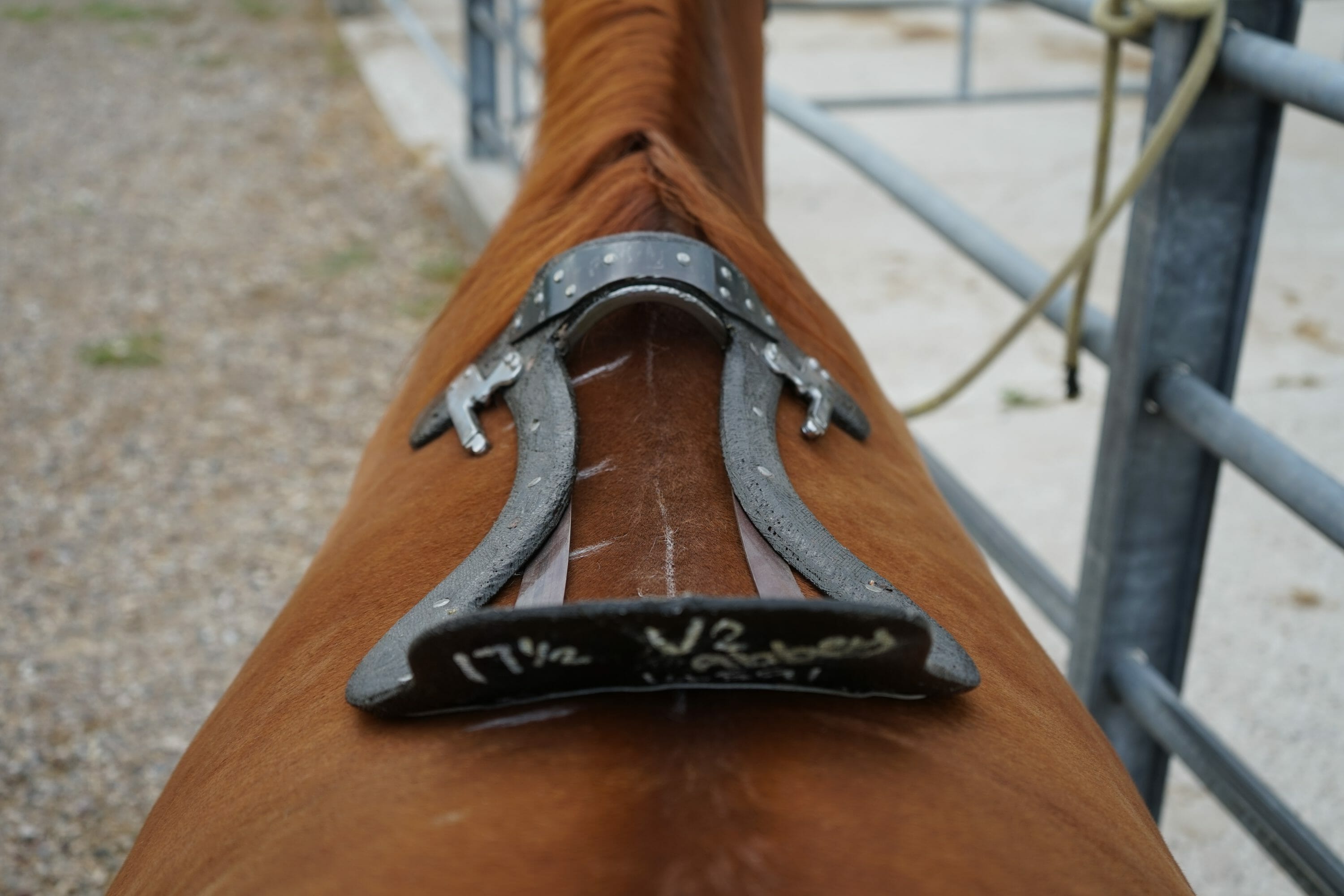 selle su misura