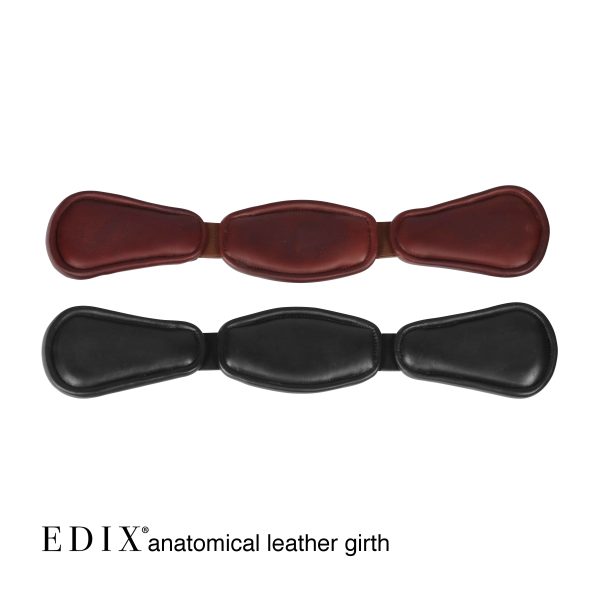 Sottopancia Anatomici Edix inglesi - immagine 8