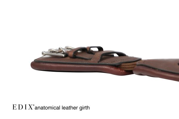 Sottopancia Anatomici Edix inglesi - immagine 9
