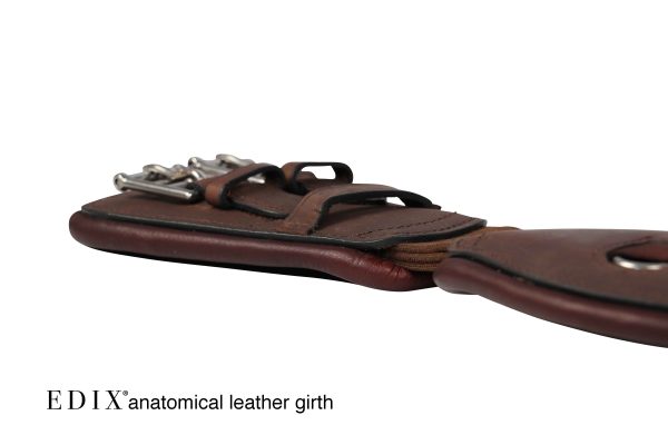 Sottopancia Anatomici Edix inglesi - immagine 10