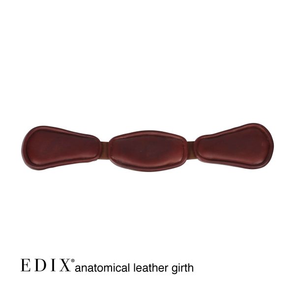 Sottopancia Anatomici Edix inglesi - immagine 12