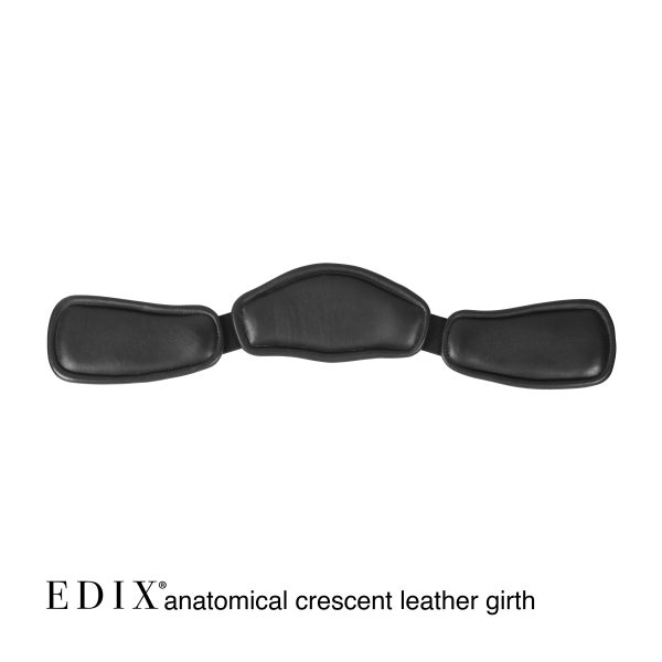 Sottopancia Anatomici Edix inglesi - immagine 6