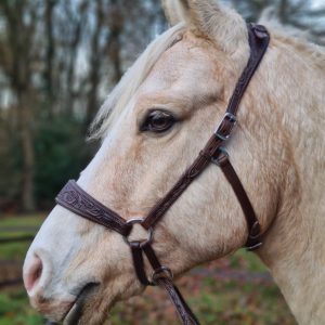 sidepull bitless bridle western rose collection edix