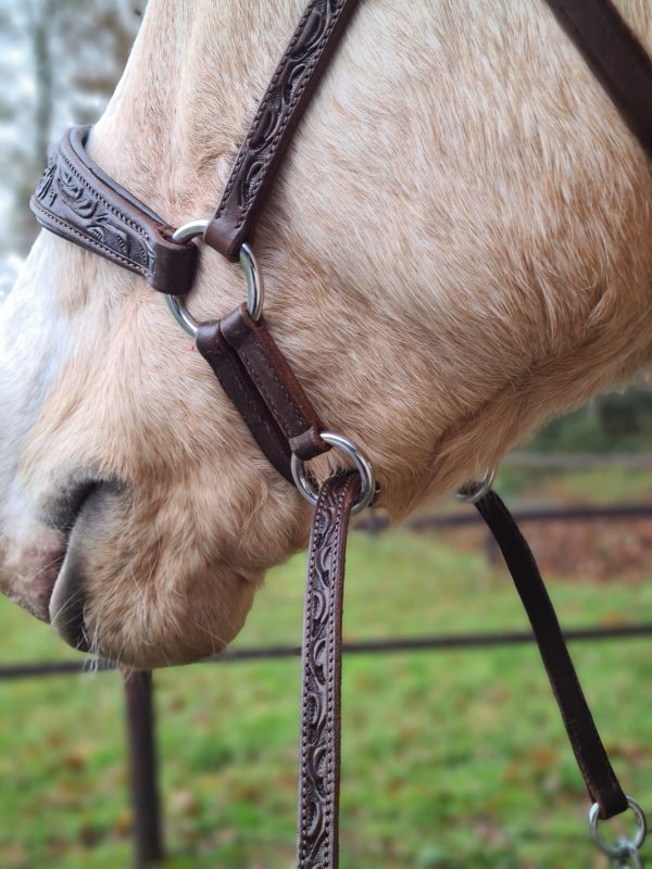 sidepull bitless bridle western rose collection edix