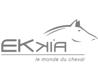ekkia-logo