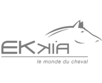 ekkia-logo